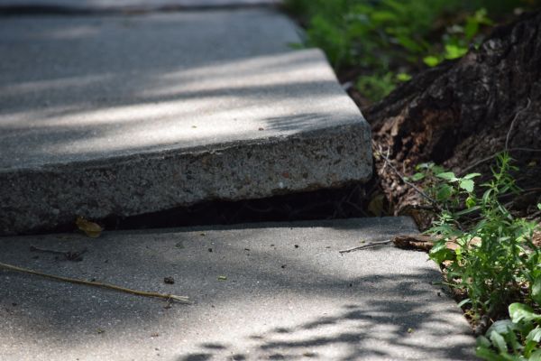 Cost of Sidewalk Leveling in Parker